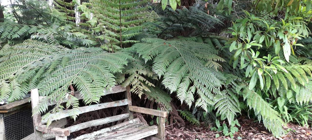 Earthsounds Country Cottage Taumarunui Exteriör bild