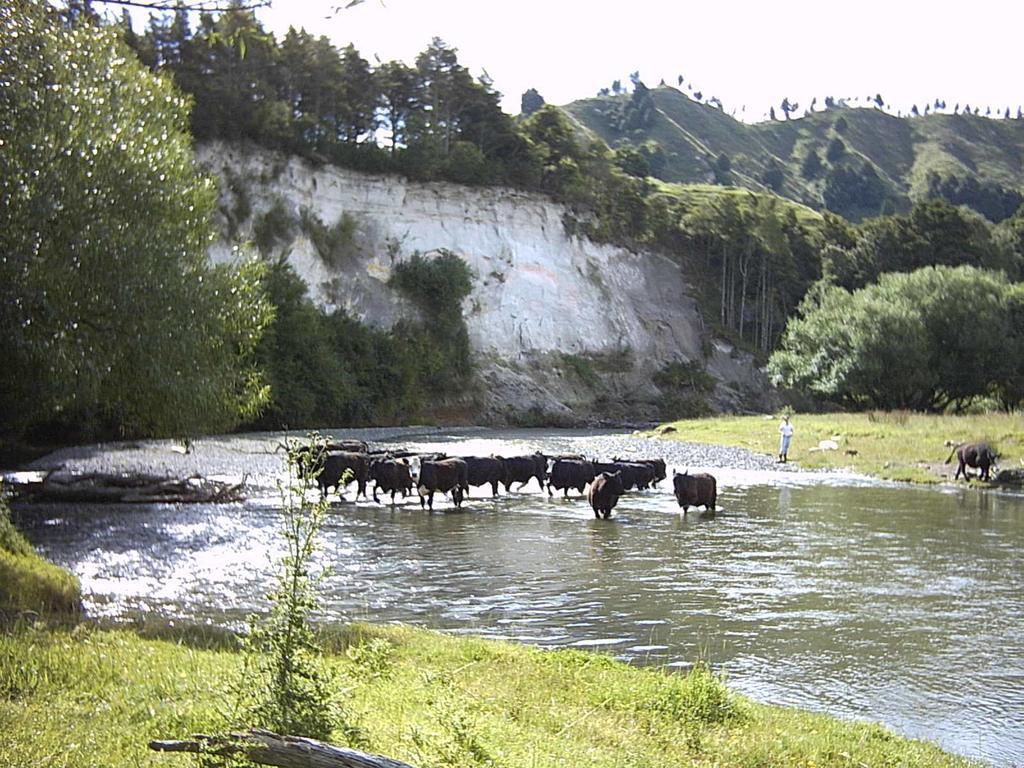 Earthsounds Country Cottage Taumarunui Exteriör bild