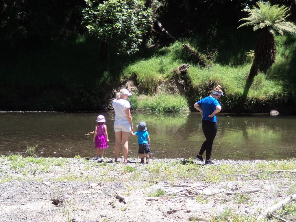 Earthsounds Country Cottage Taumarunui Rum bild