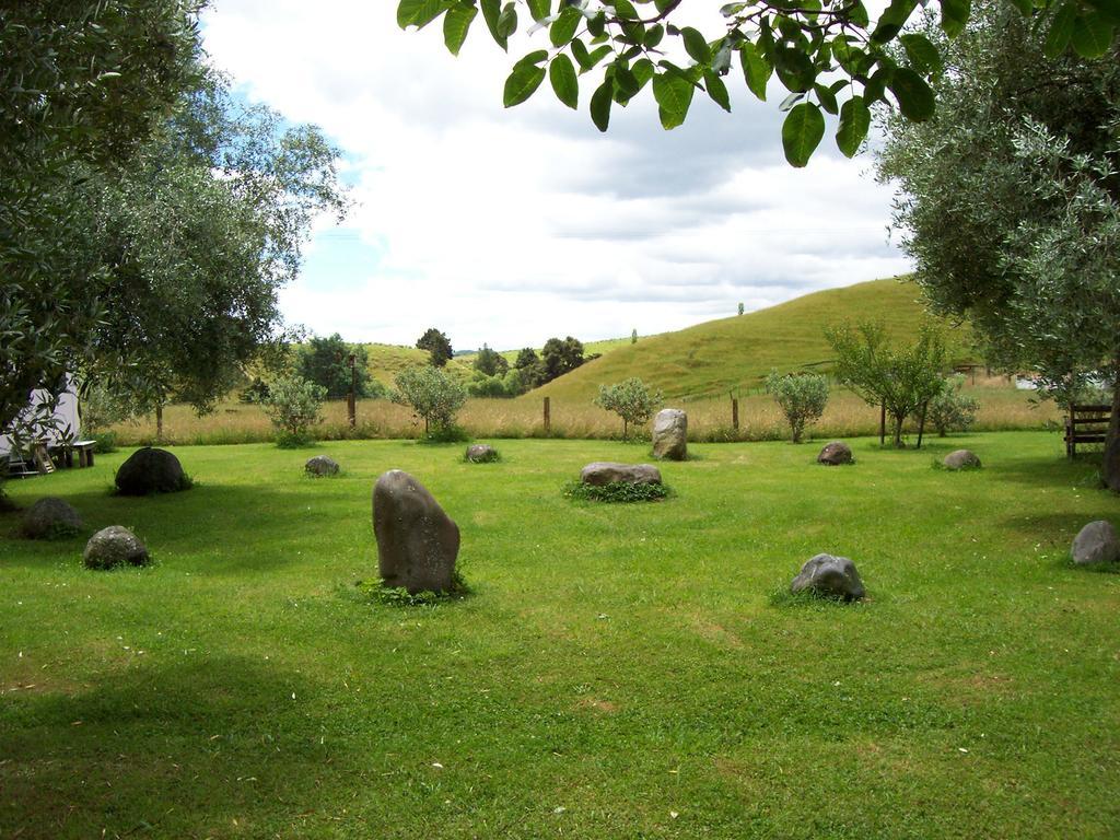 Earthsounds Country Cottage Taumarunui Rum bild